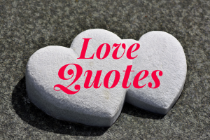 love quotes movies books music