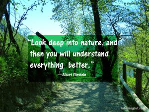 Einstein nature quote